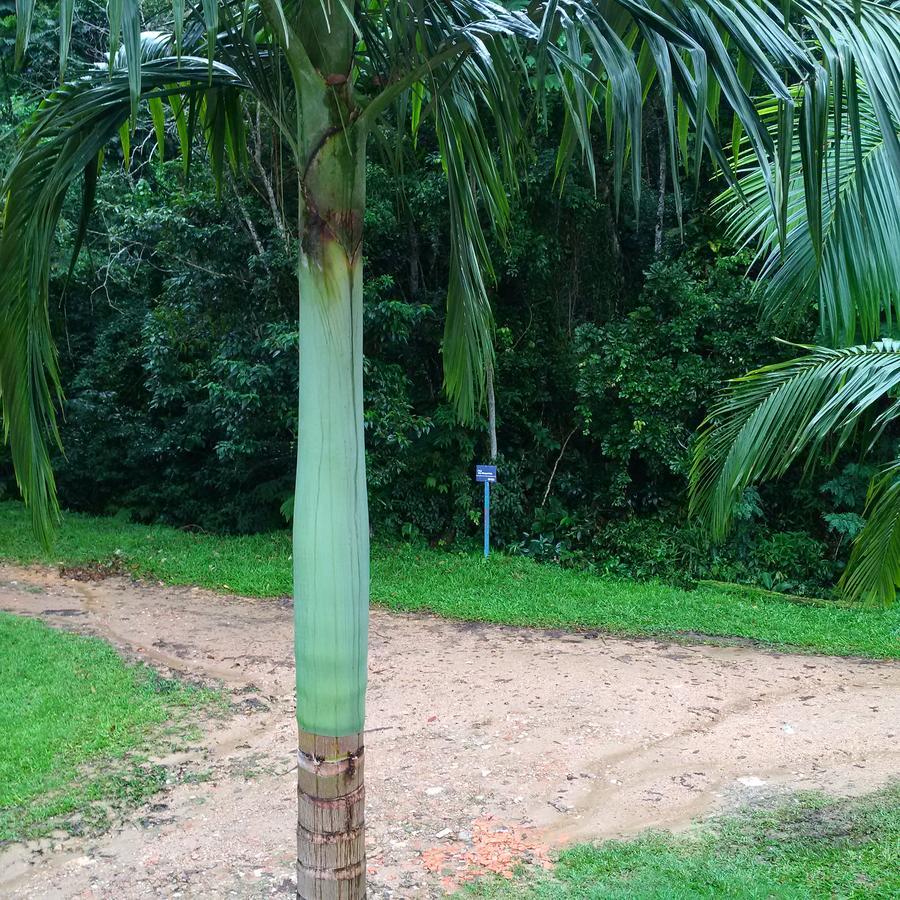 Da Lagoinha Pensão Ubatuba